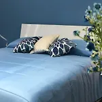 Amalphia Home